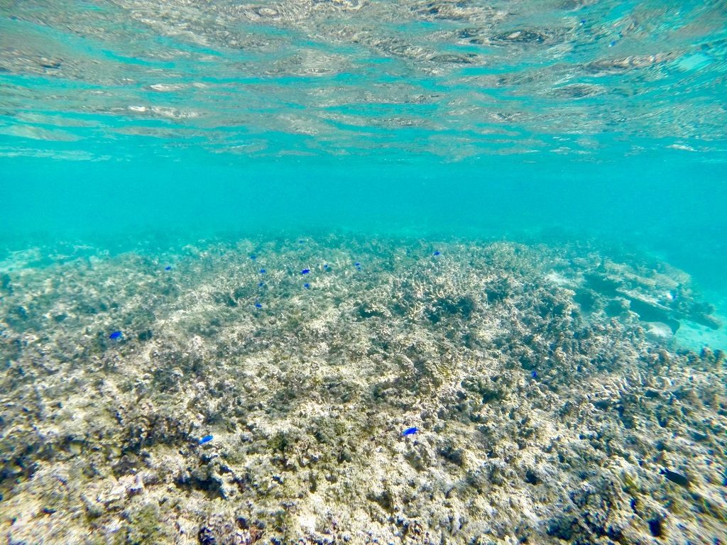 海の中での忘れ物
