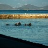 伊豆半島の代表的スポット、大瀬崎のポイントをご紹介